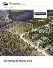 Confronting the Wildfire Crisis